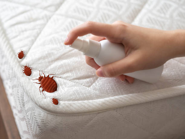 Best Local Pest Control Services  in Wilmington, OH